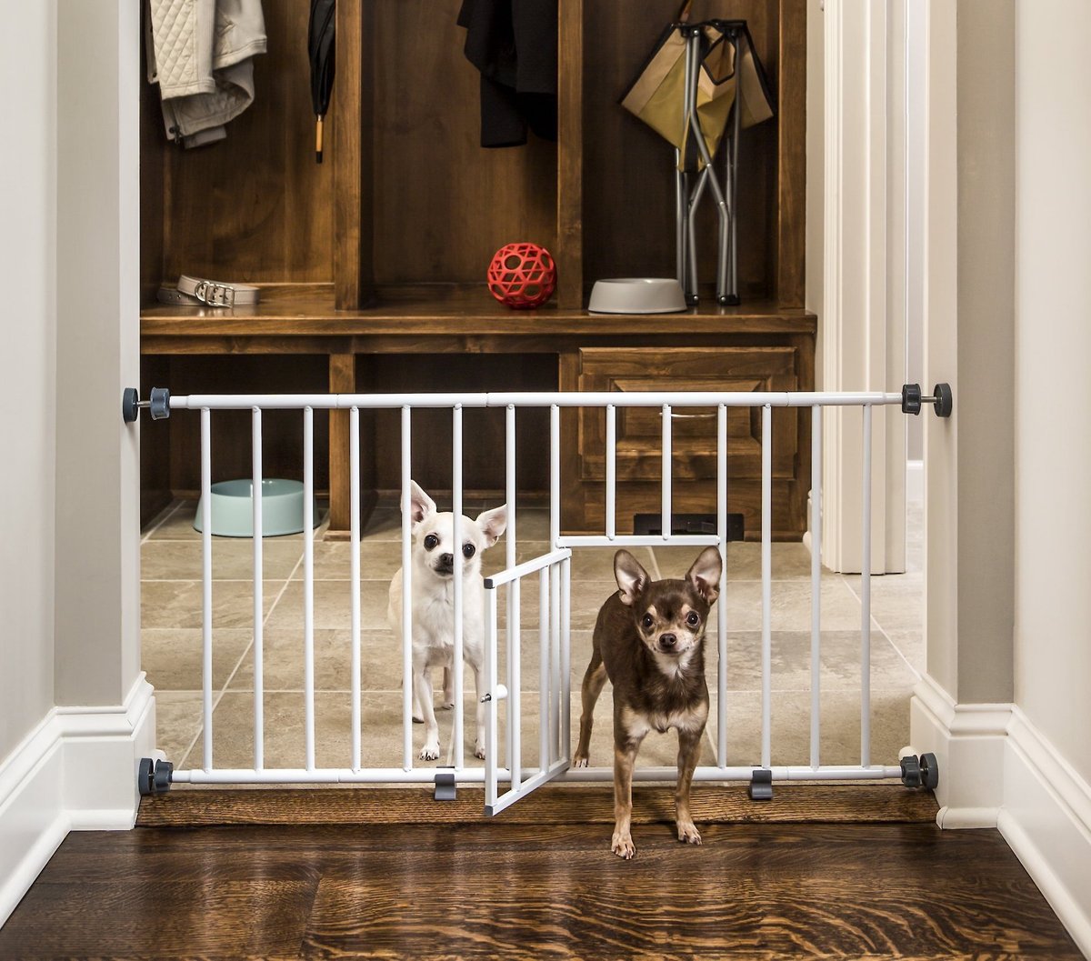 Dog gate with outlet cat door