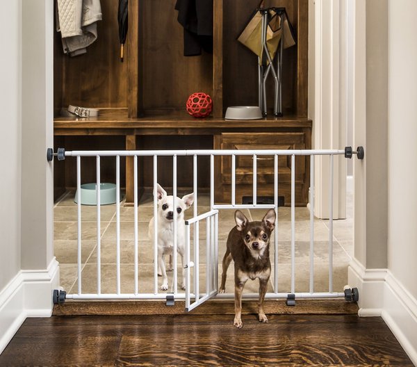 Carlson Pet Products Mini Gate with Pet Door slide 1 of 6