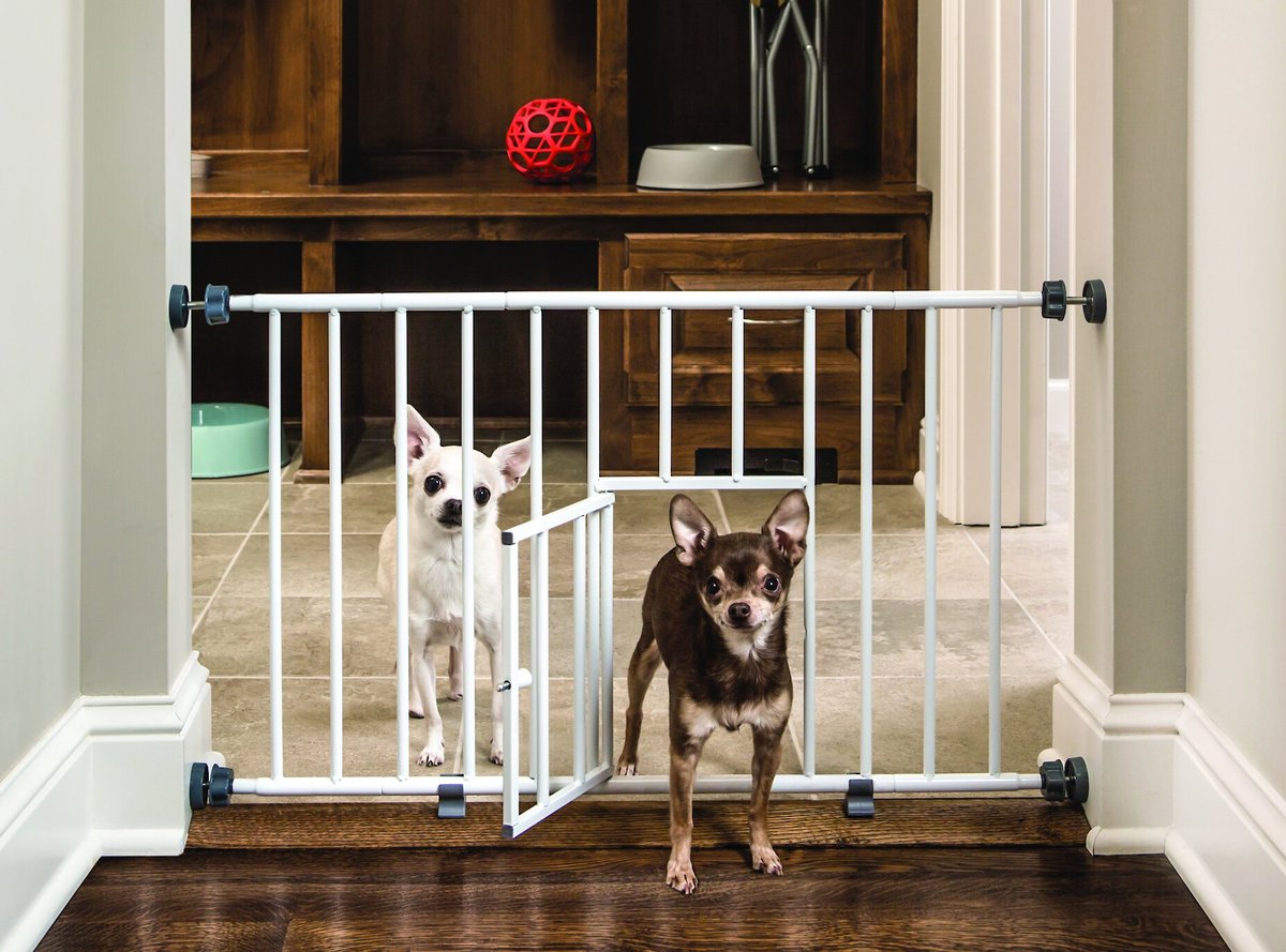 Dog gate outlet with door