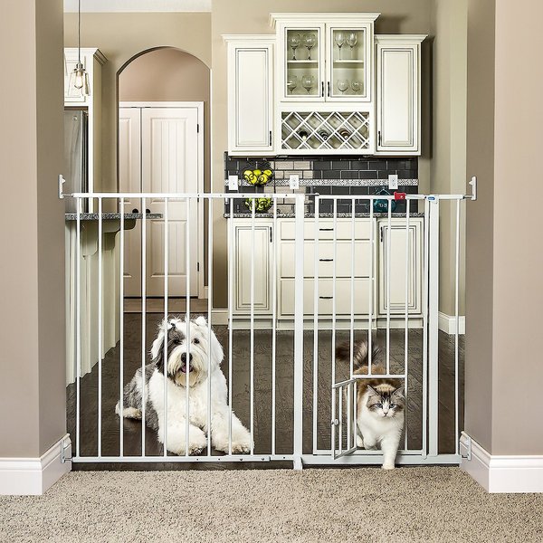 CARLSON PET PRODUCTS Maxi Extra Tall WalkThru Dog Gate with Pet Door