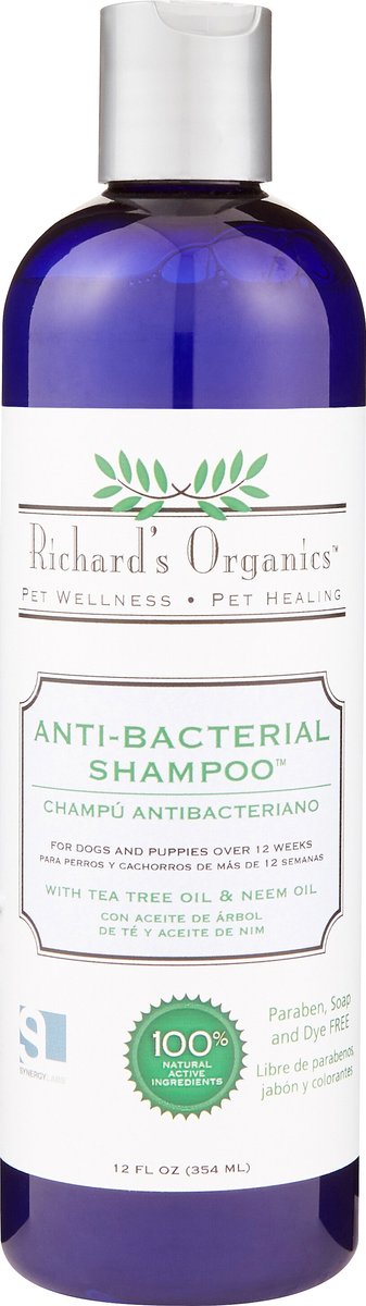 Richard's best sale organics shampoo