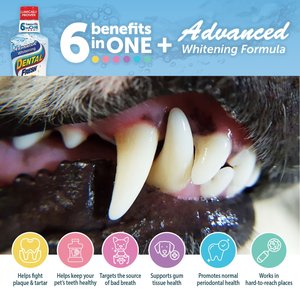 Dental Fresh Advanced Whitening Dog Dental Water Additive, 17-oz bottle