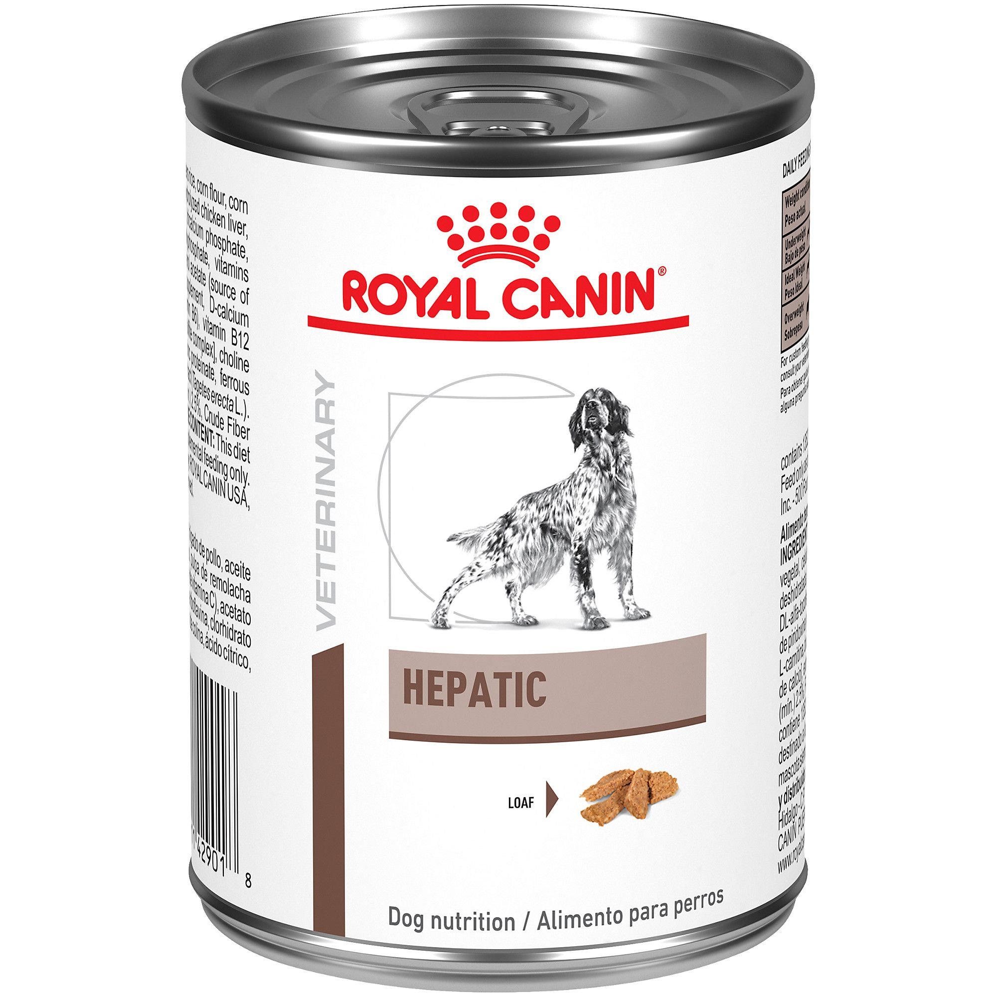 Canine chicken and cottage cheese diet 2024 for liver shunts