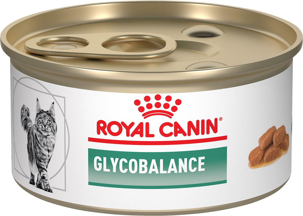 Chewy cat outlet food royal canin