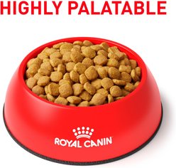 Royal Canin Veterinary Diet Adult Weight Control Dry Cat Food, 7.7-lb bag slide 2 of 8
