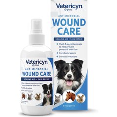 Dog skin ulcer home treatment best sale