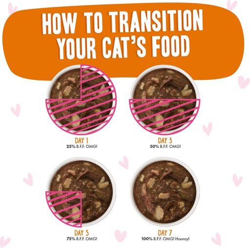 BFF Tuna & Salmon Sweet Cheeks Dinner in Gravy Wet Cat Food Pouches, 3-oz, case of 12