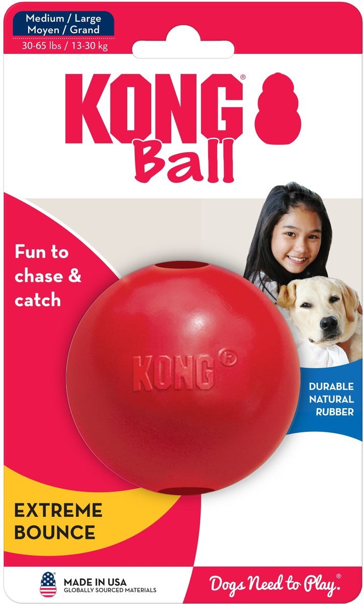 Chewy kong clearance ball