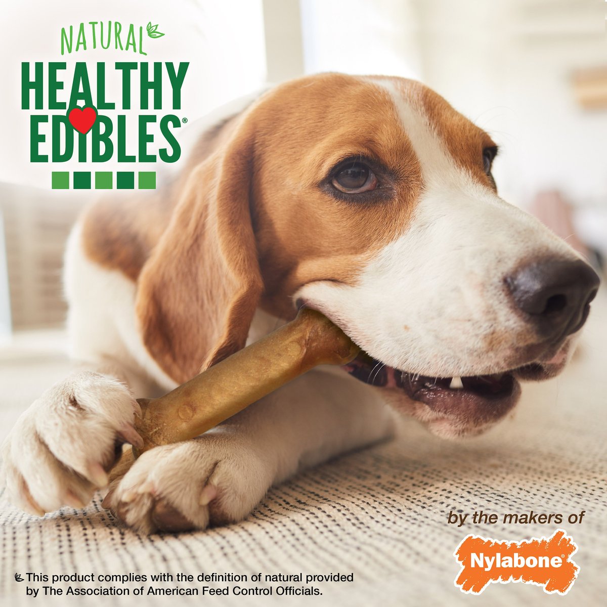 Nylabone Healthy Edibles Longer Lasting Chicken Flavor Dog Bone Treats, Medium, 2 count slide 5 of 9