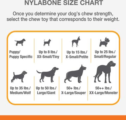 Show full view: Nylabone Dental Chew & Flexi Bone Combo Pack Dog Chew Toys, Chicken, Large, 2 Count slide 7 of 12
