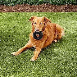 KONG Extreme Tires Dog Toy, Medium/Large slide 2 of 4