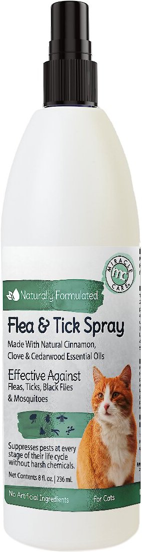 Can you use cat 2024 flea spray on dogs