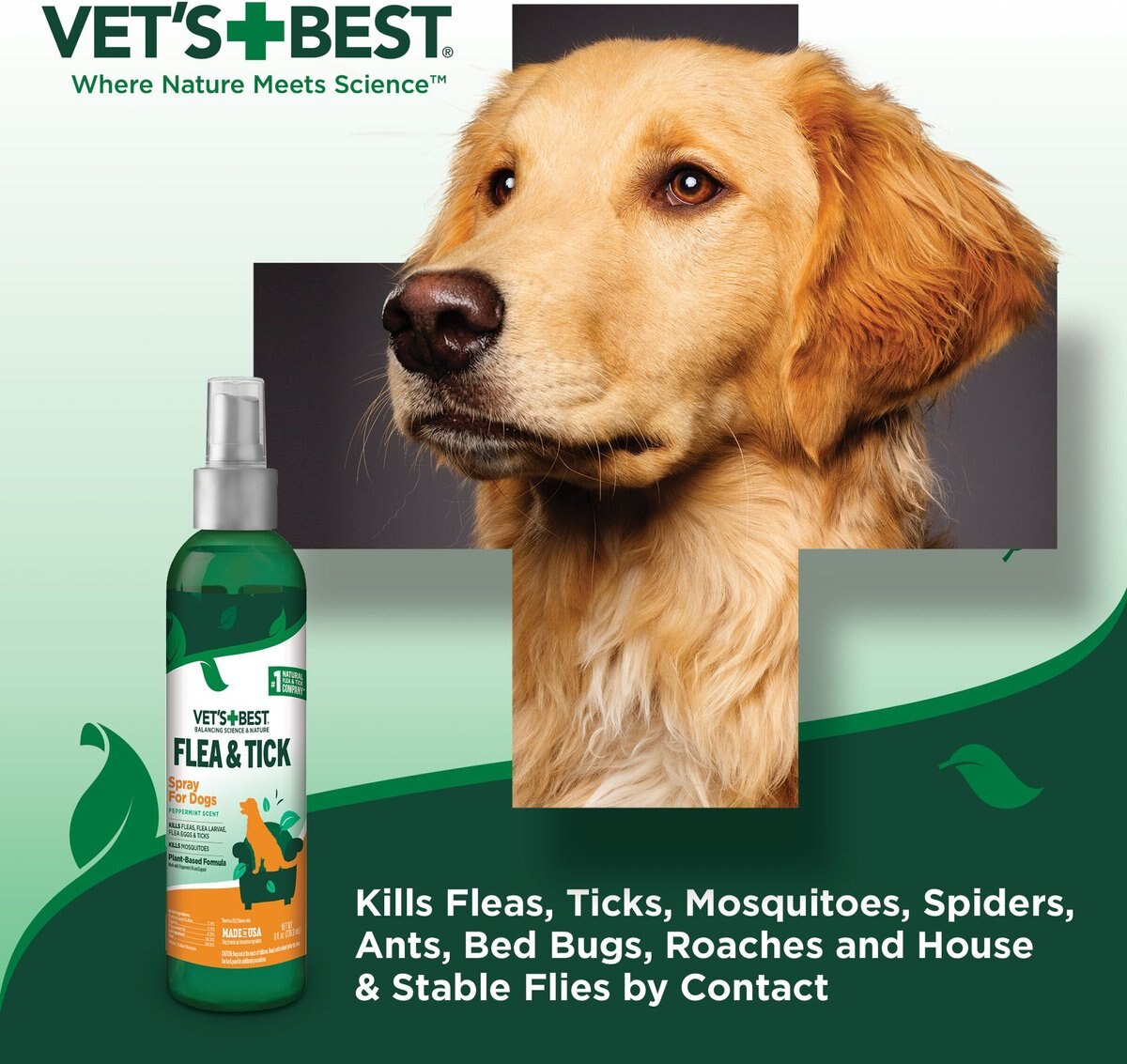 Best flea and tick hot sale treatment