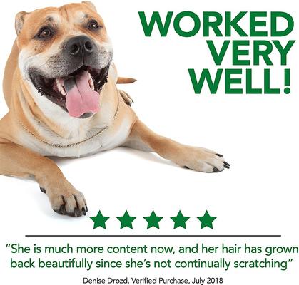 Show full view: Vet's Best Hot Spot Spray for Dogs, 8-oz bottle slide 6 of 10