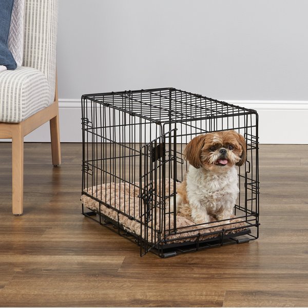 Frisco Fold & Carry Single Door Collapsible Wire Dog Crate, X-small 