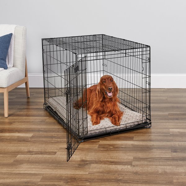 MidWest iCrate Fold & Carry Single Door Collapsible Wire Dog Crate, 42 inch slide 1 of 11