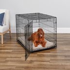 MidWest iCrate Fold & Carry Single Door Collapsible Wire Dog Crate, 42 inch