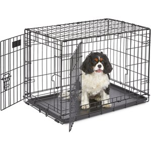 MidWest iCrate Fold & Carry Double Door Collapsible Wire Dog Crate, 30 inch