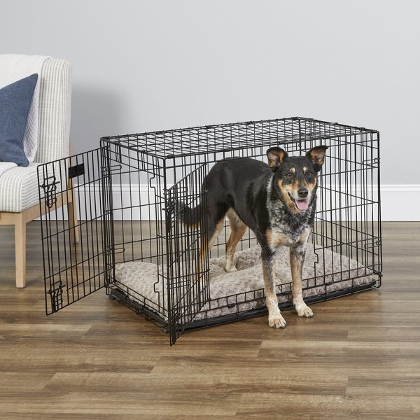 MidWest iCrate Fold & Carry Double Door Collapsible Wire Dog Crate, 36 inch slide 1 of 11
