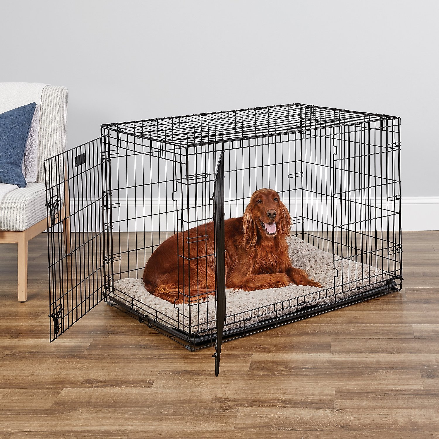 MidWest iCrate Fold & Carry Double Door Collapsible Wire Dog Crate