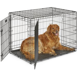 MidWest iCrate Fold & Carry Double Door Collapsible Wire Dog Crate, 42 inch