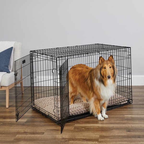  MidWest Homes for Pets Large Dog Crate, MidWest Life Stages  Folding Metal Dog Crate, Divider Panel, Floor Protecting Feet, Leak-Proof  Dog Pan