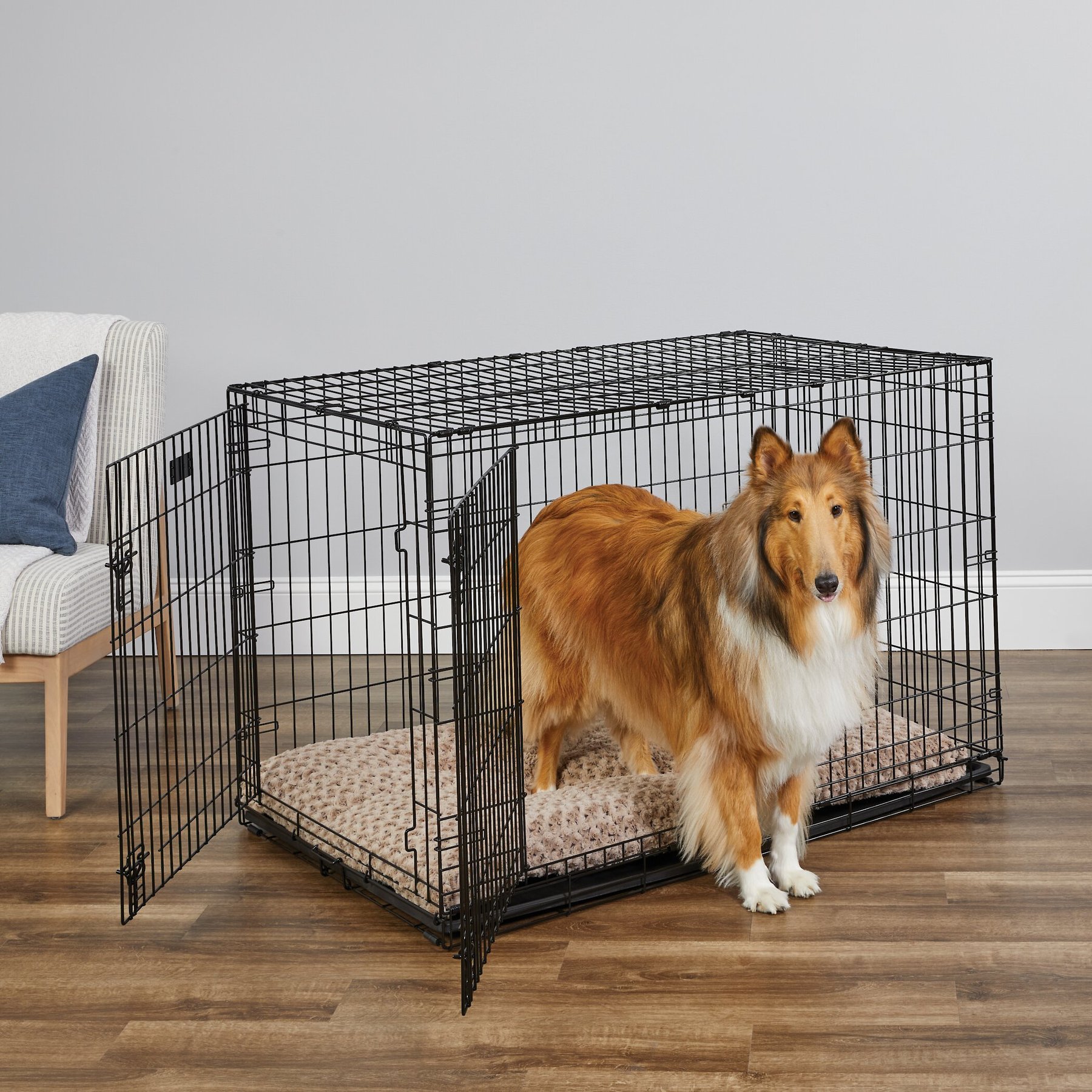 Folding Metal Dog Crate  Divider Panel, Floor Protecting Feet