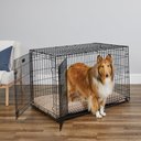 MidWest iCrate Fold & Carry Double Door Collapsible Wire Dog Crate, 48 inch