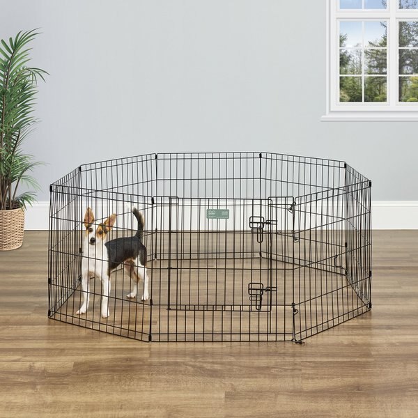 MidWest Wire Dog Exercise Pen with Step-Thru Door, Black E-Coat, 24-in slide 1 of 10