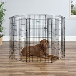 LARGE DOG PENS Free Shipping Chewy