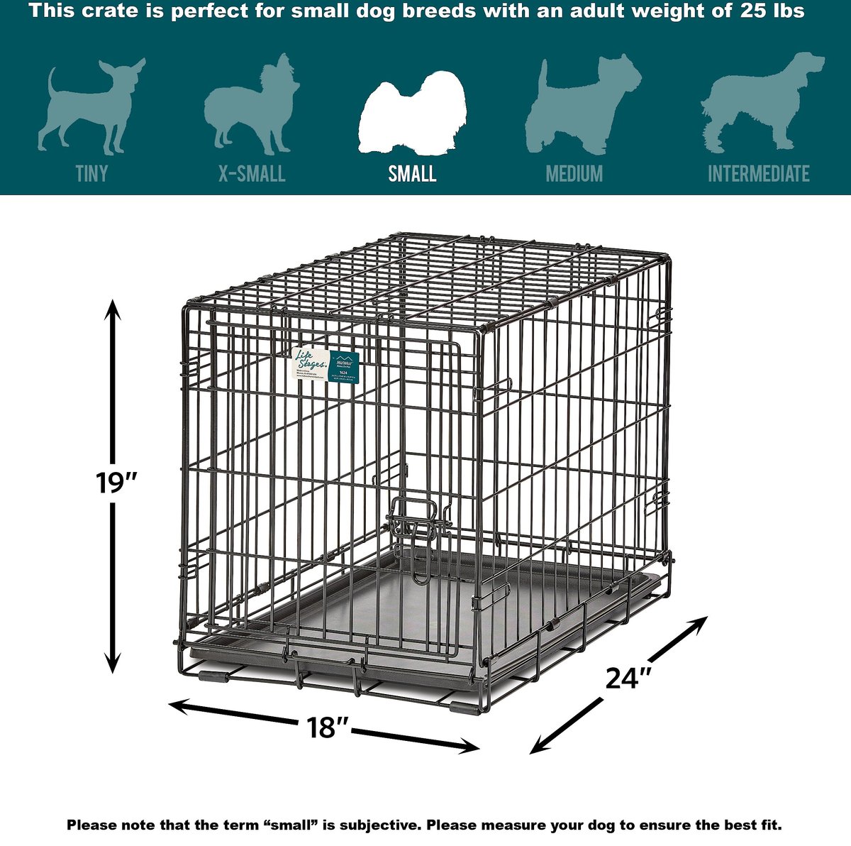 MIDWEST LifeStages Single Door Collapsible Wire Dog Crate, 24 inch ...