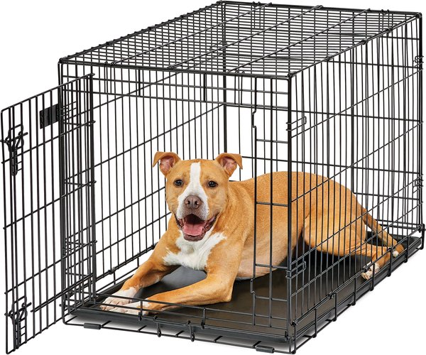 MidWest LifeStages Single Door Collapsible Wire Dog Crate, 36 inch slide 1 of 10