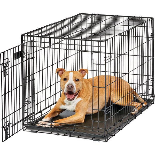 MIDWEST LifeStages Double Door Collapsible Wire Dog Crate, 36 inch ...