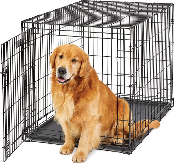 MidWest LifeStages Single Door Collapsible Wire Dog Crate, 42 inch slide 1 of 10