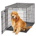 MidWest LifeStages Single Door Collapsible Wire Dog Crate, 42 inch