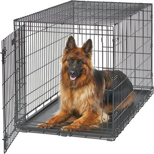 MidWest LifeStages Single Door Collapsible Wire Dog Crate, 48 inch