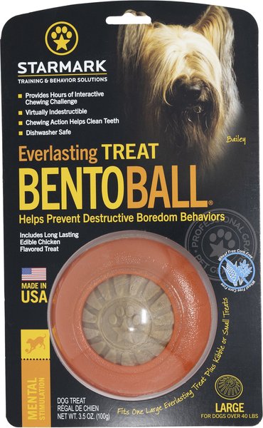 Starmark Everlasting Treat Bento Ball Tough Dog Chew Toy, Large slide 1 of 10