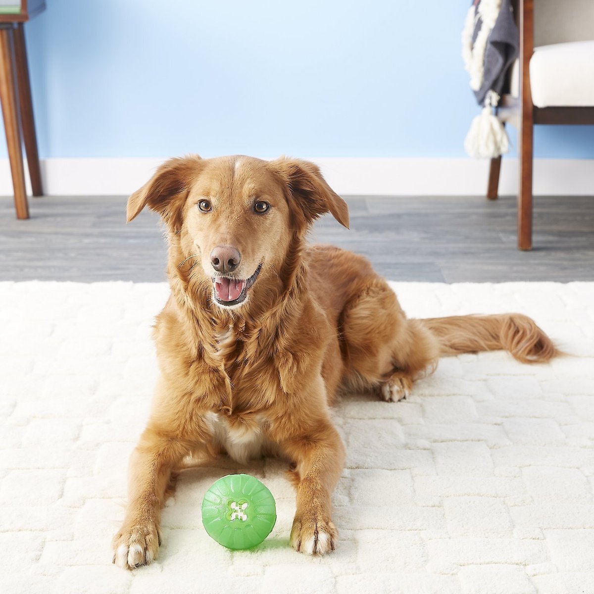 Tennis ball treat outlet dispenser