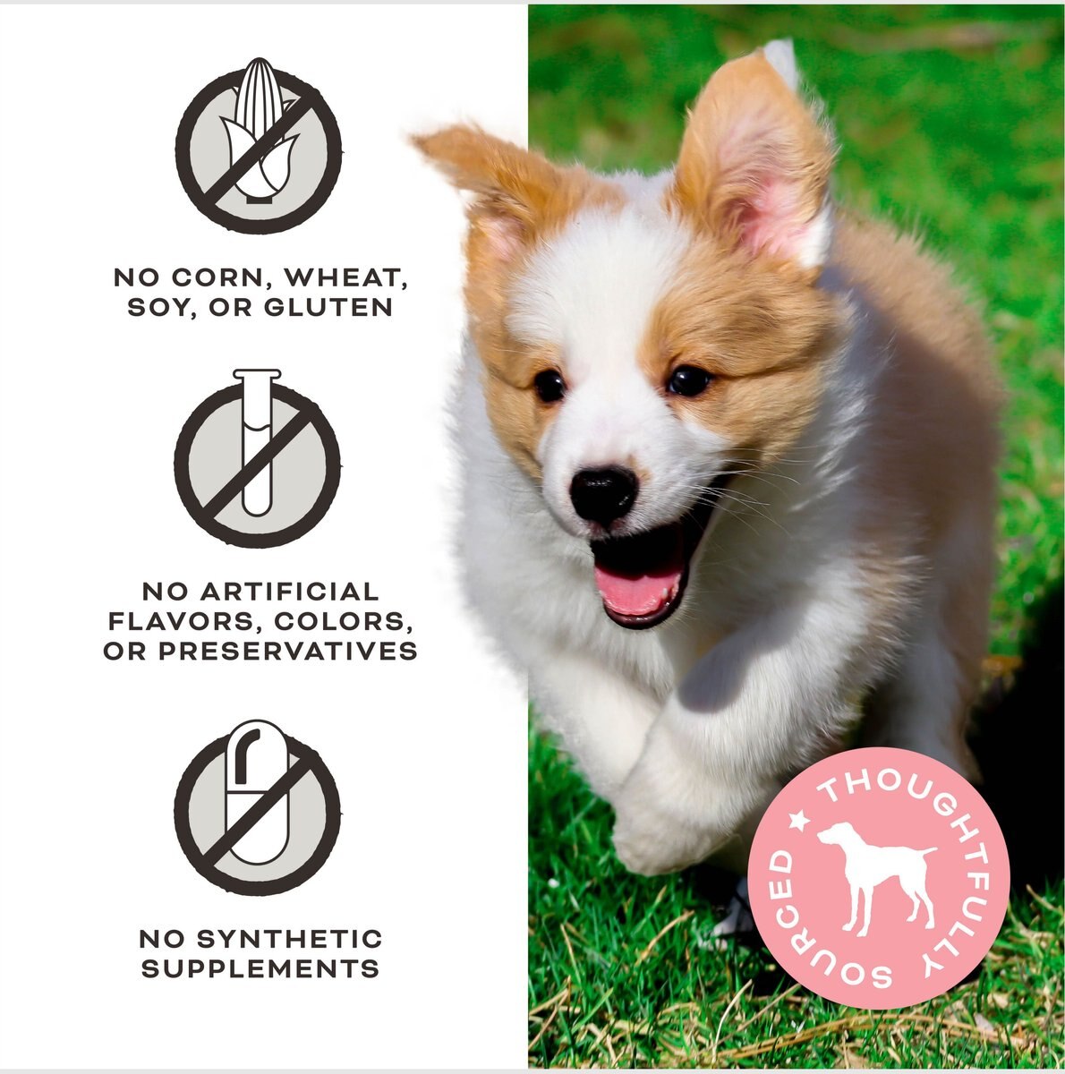 PRIMAL Give Pieces A Chance Beef with Broth Flavored Jerky Dog Treats