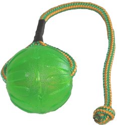 Starmark Swing 'n Fling Chew Ball Dog Toy
