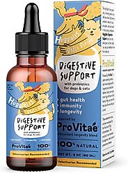 Huggibles Digestive Support with Probiotics Chicken Flavored Liquid Digestive Supplement for Dogs & Cats, 2-oz bottle