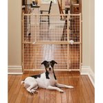 MyPet 23 In. Paws Portable Plastic Pet Gate At Tractor Supply Co