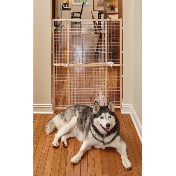 PRIMETIME PETZ Palm Springs Designer Pet Gate, Medium, 27in