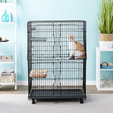 Cat Cages & Playpens: Indoor & Outdoor, Low Prices (Free Shipping) | Chewy