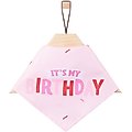 Frisco Dog & Cat Birthday Bandana, Pink, X-Small/Small