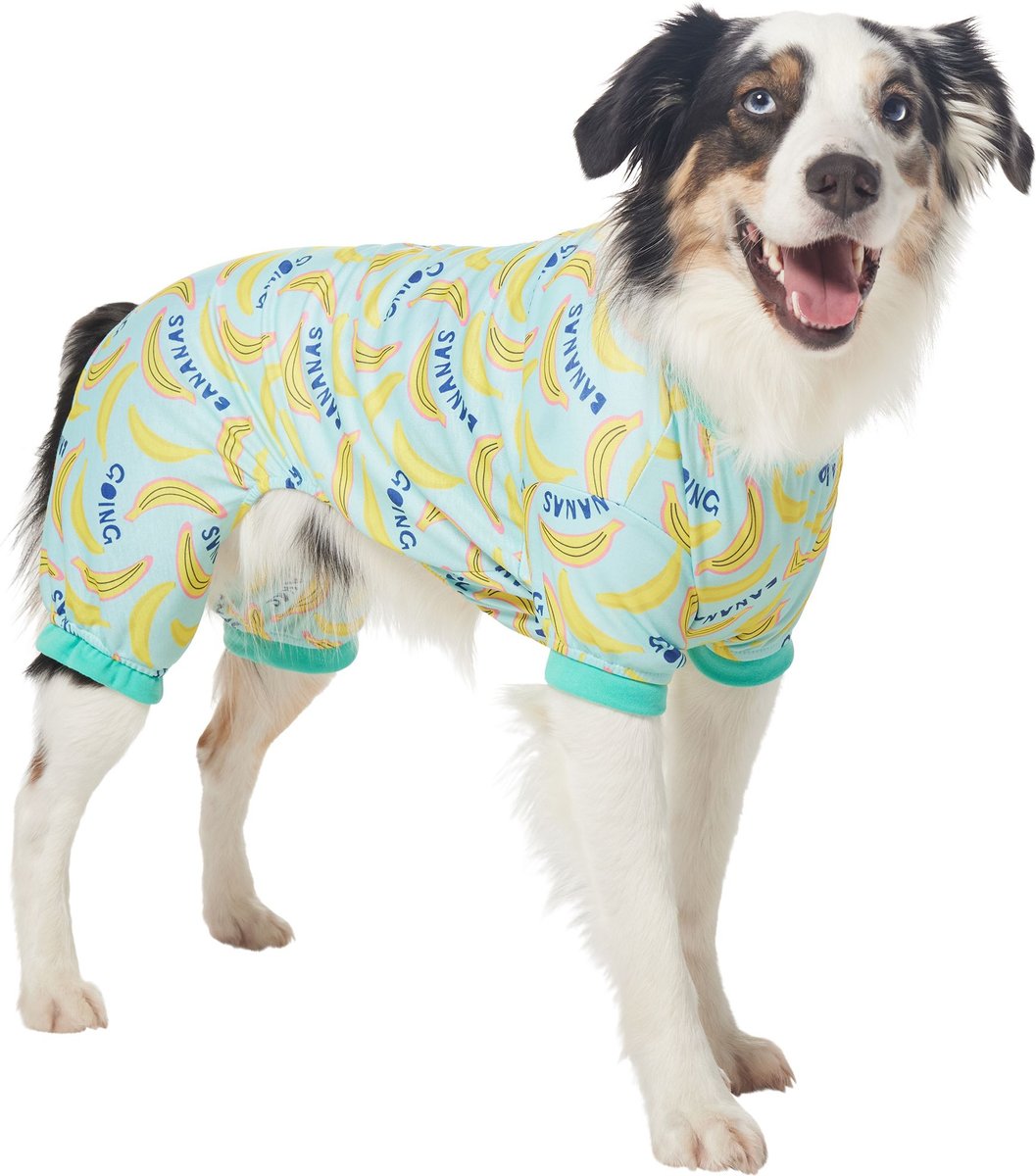 Chewy best sale dog pjs