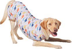Frisco Dinosaur Dog & Cat Jersey PJs, Small