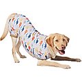 Frisco Dinosaur Dog & Cat Jersey PJs, Small