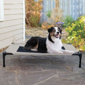 K&H Pet Products Original Pet Cot Elevated Dog Bed, Taupe/Black, Large 