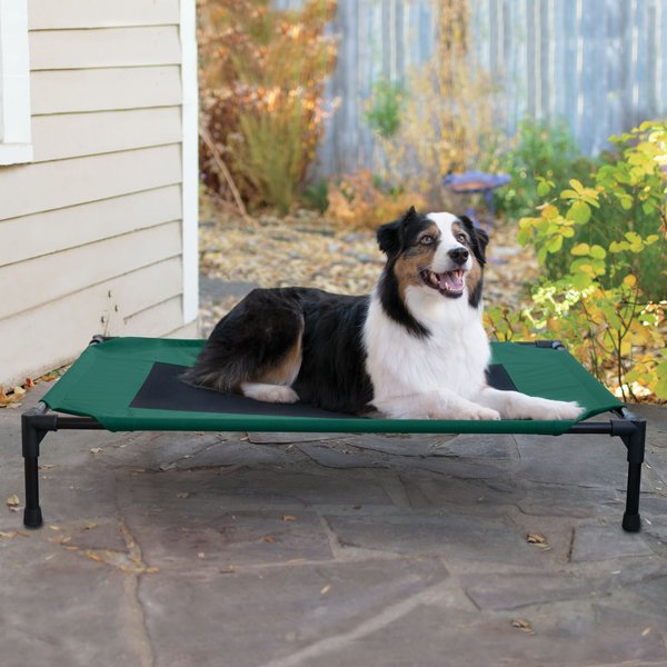 Out of Stock K&H PET PRODUCTS Original Steel Frame Pet Cot Elevated